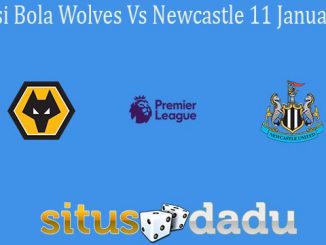 Prediksi Bola Wolves Vs Newcastle 11 Januari 2020