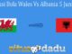 Prediksi Bola Wales Vs Albania 5 Juni 2021