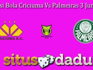 Prediksi Bola Criciuma Vs Palmeiras 3 Juni 2024